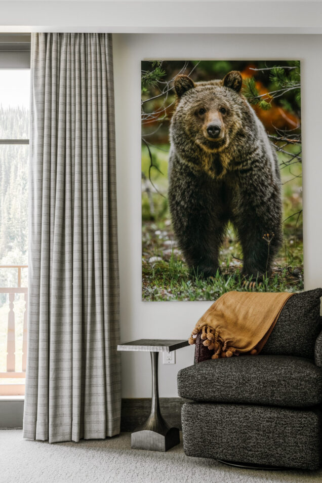 SECTION 2 BEHIND IMAGE